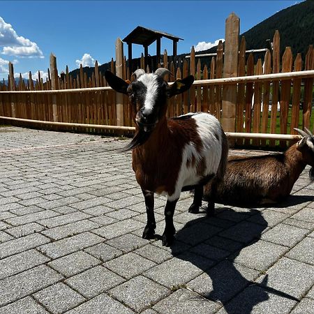 Pichlerhof Διαμέρισμα Planca di Sopra Εξωτερικό φωτογραφία